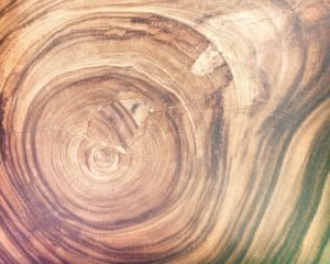 Succession Planning in the Age of Coronavirus