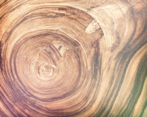 Succession Planning in the Age of Coronavirus