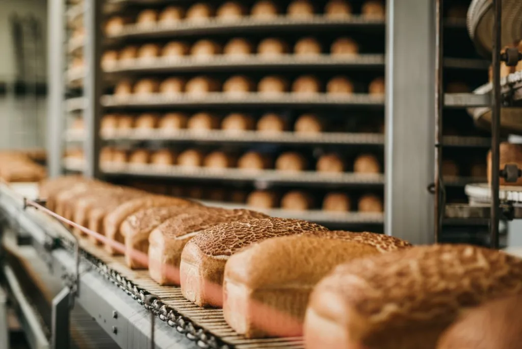 Sell a Bread Manufacturing Company