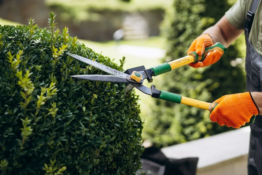 Sell a Landscaping Business